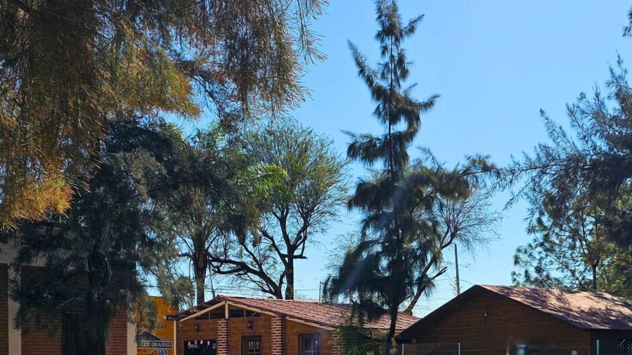 Photo of Outdoor in Purisima del Rincon