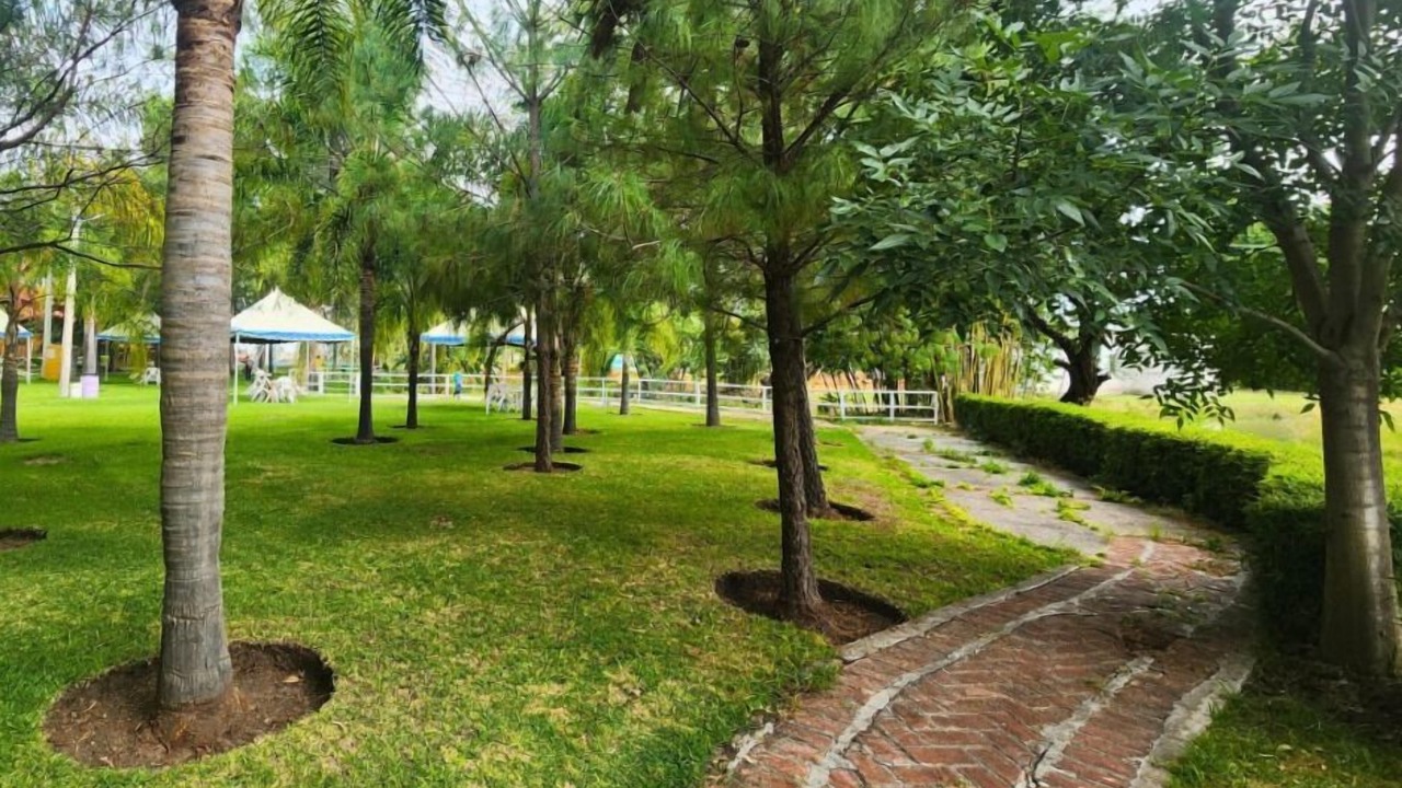 Photo of Outdoor in Purisima del Rincon