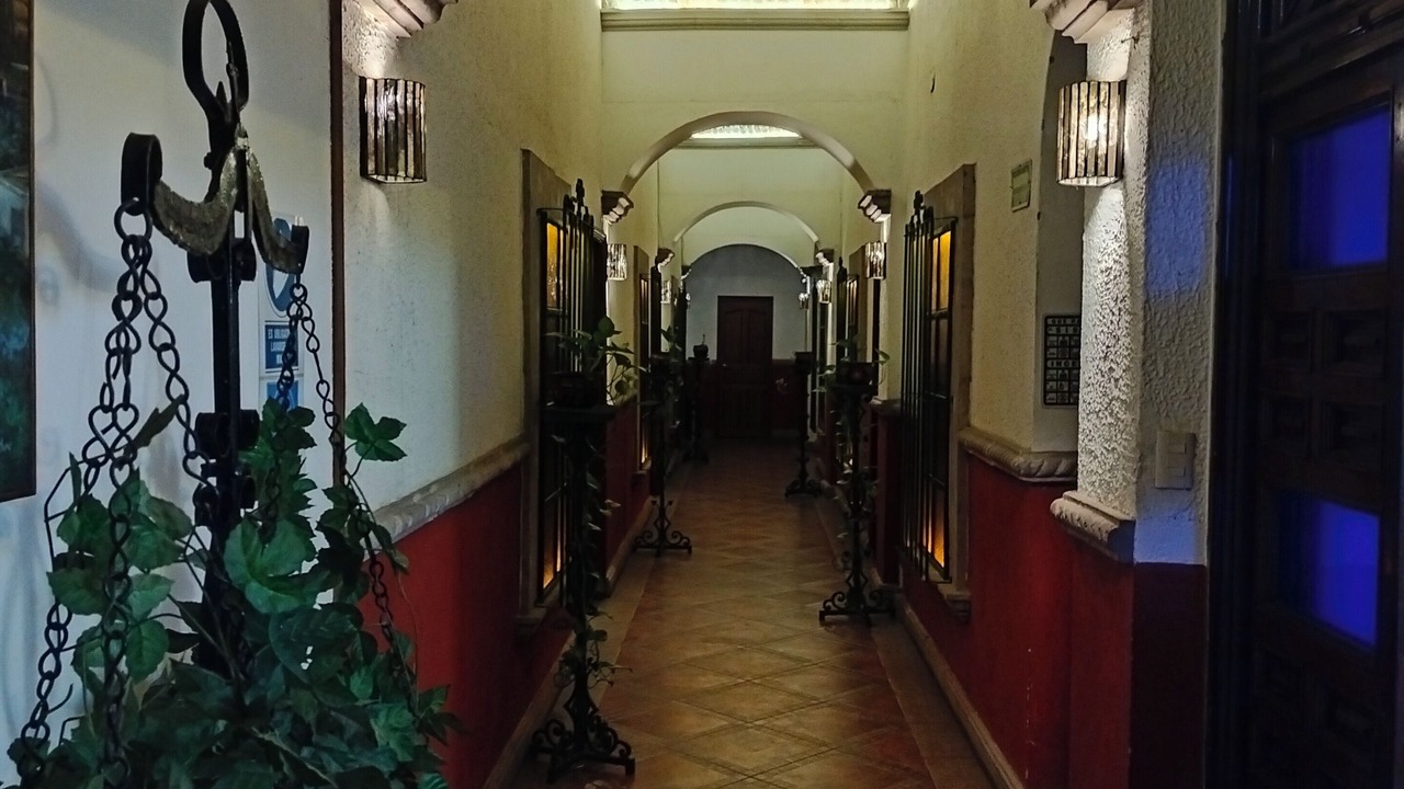 Photo of Others in La Palmita
