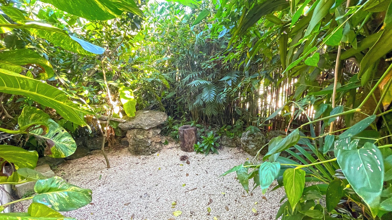 Photo of Outdoor in Bacalar