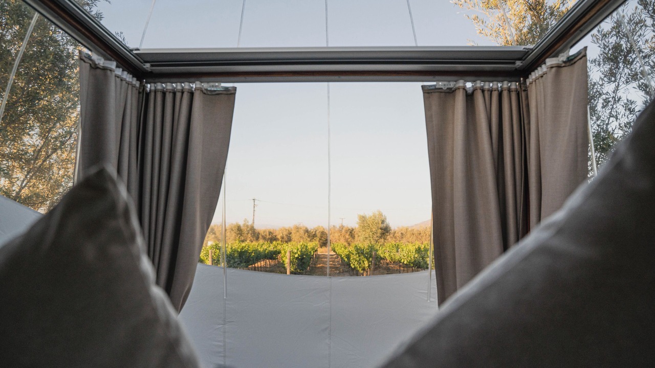 Photo of Others in Valle de Guadalupe