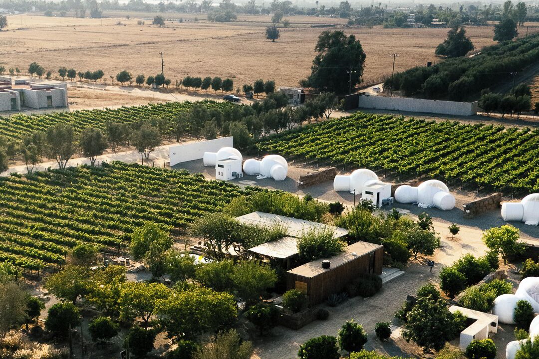 Photo of Outdoor in Valle de Guadalupe