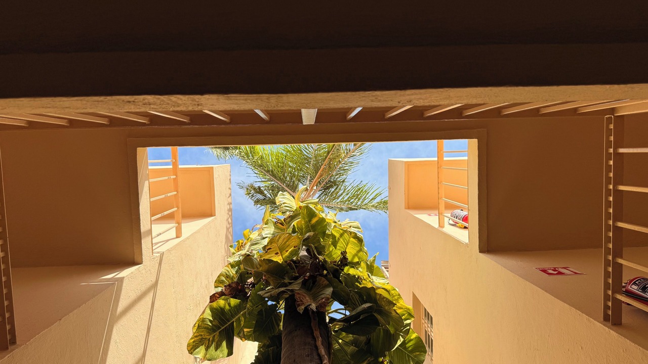 Photo of Outdoor in Tequila