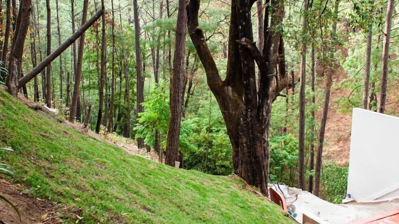 Photo of Outdoor in Mazamitla