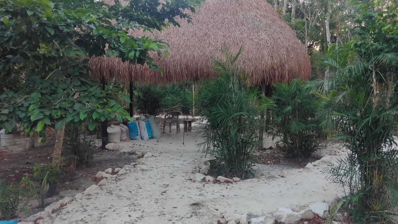 Photo of Outdoor in Xpujil