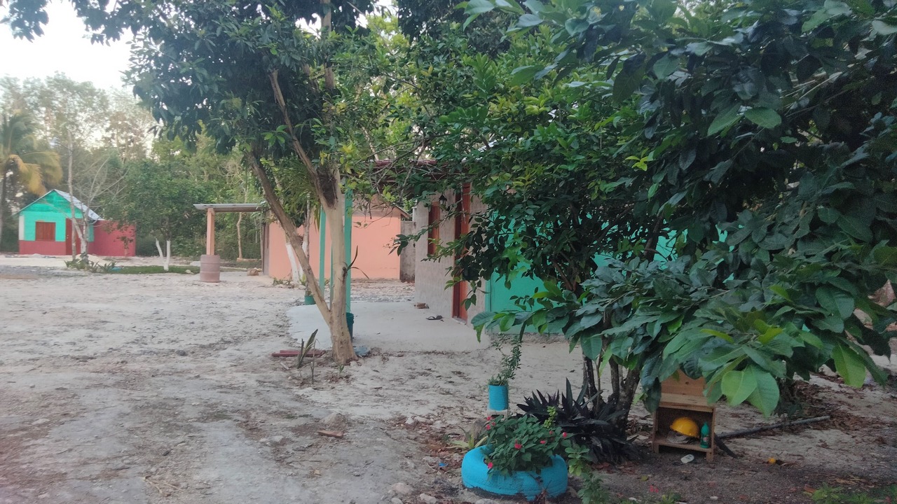 Photo of Outdoor in Xpujil