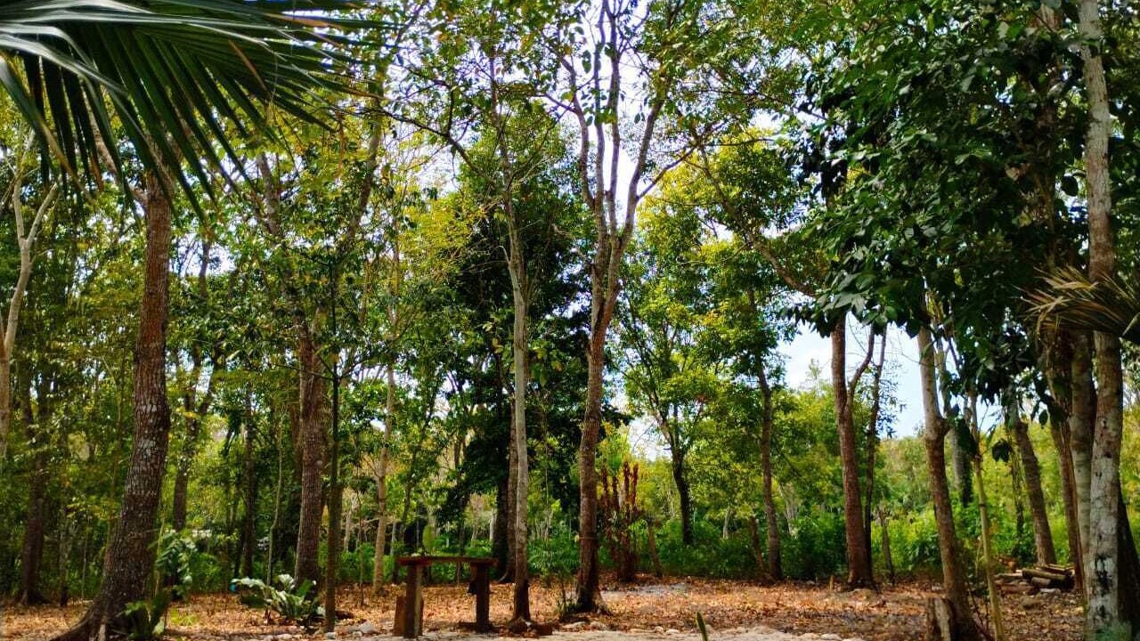 Photo of Livingroom in Xpujil