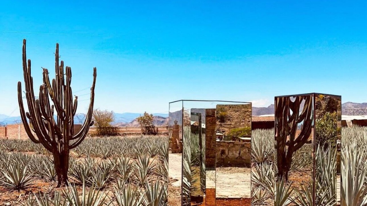 Photo of Outdoor in Tequila