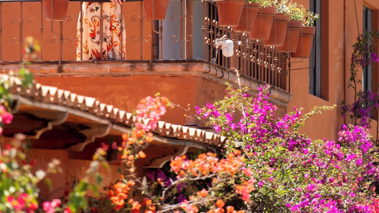 Photo of Outdoor in San Miguel de Allende