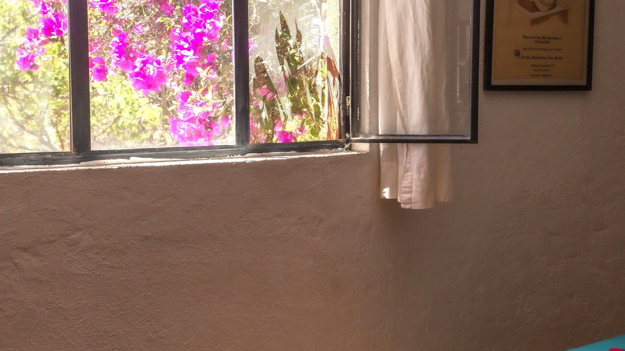 Photo of Outdoor in San Miguel de Allende