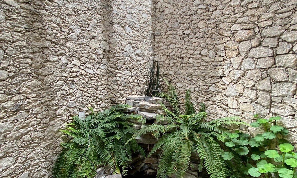 Photo of Outdoor in Bernal