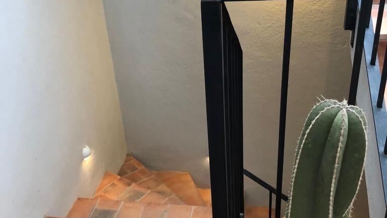 Photo of Outdoor in San Miguel de Allende