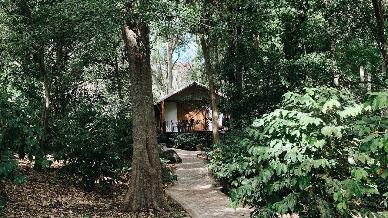 Photo of Outdoor in Amacueca