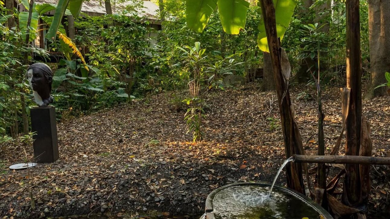 Photo of Outdoor in Amacueca