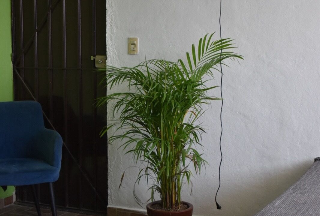 Photo of Bedroom in FERROCARRIL