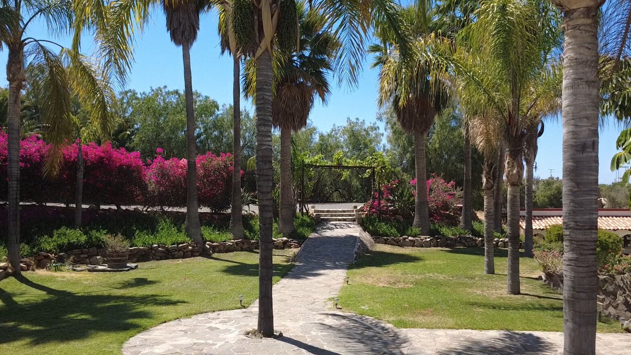 Photo of Outdoor in Valle de Guadalupe