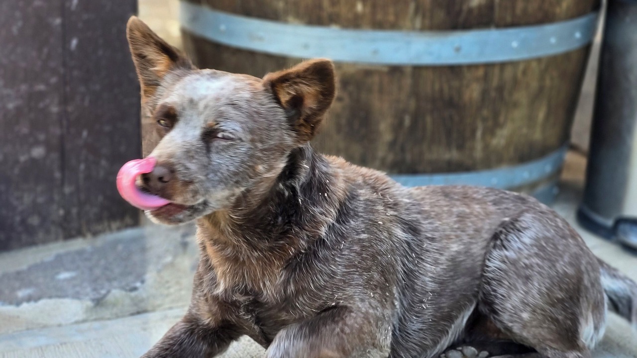 Photo of Others in Valle de Guadalupe