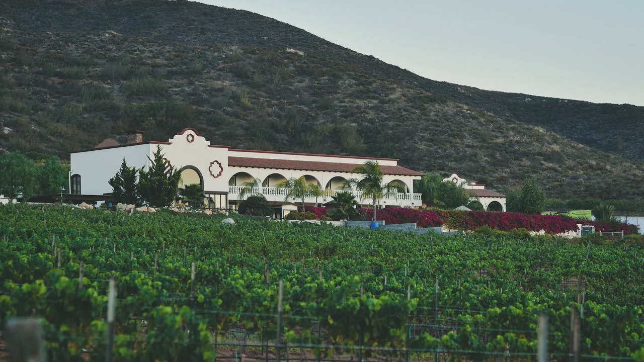 Photo of Outdoor in Valle de Guadalupe