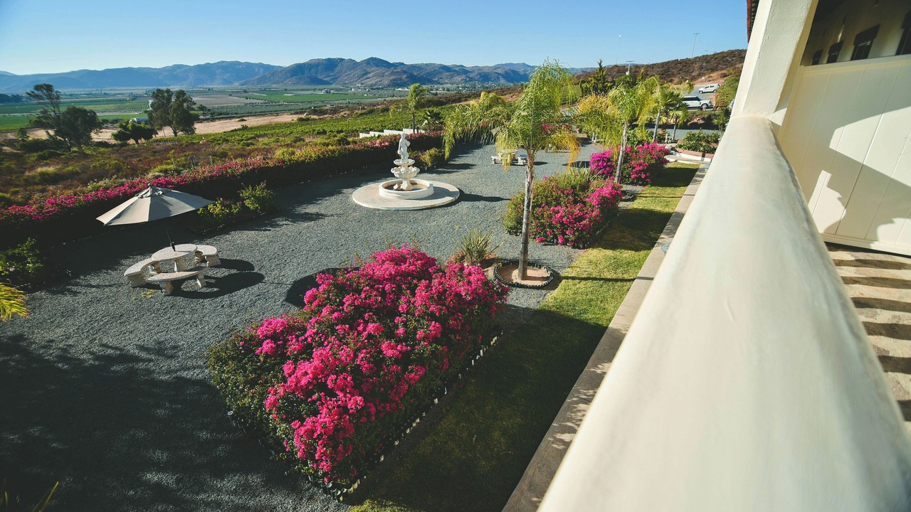 Photo of Outdoor in Valle de Guadalupe
