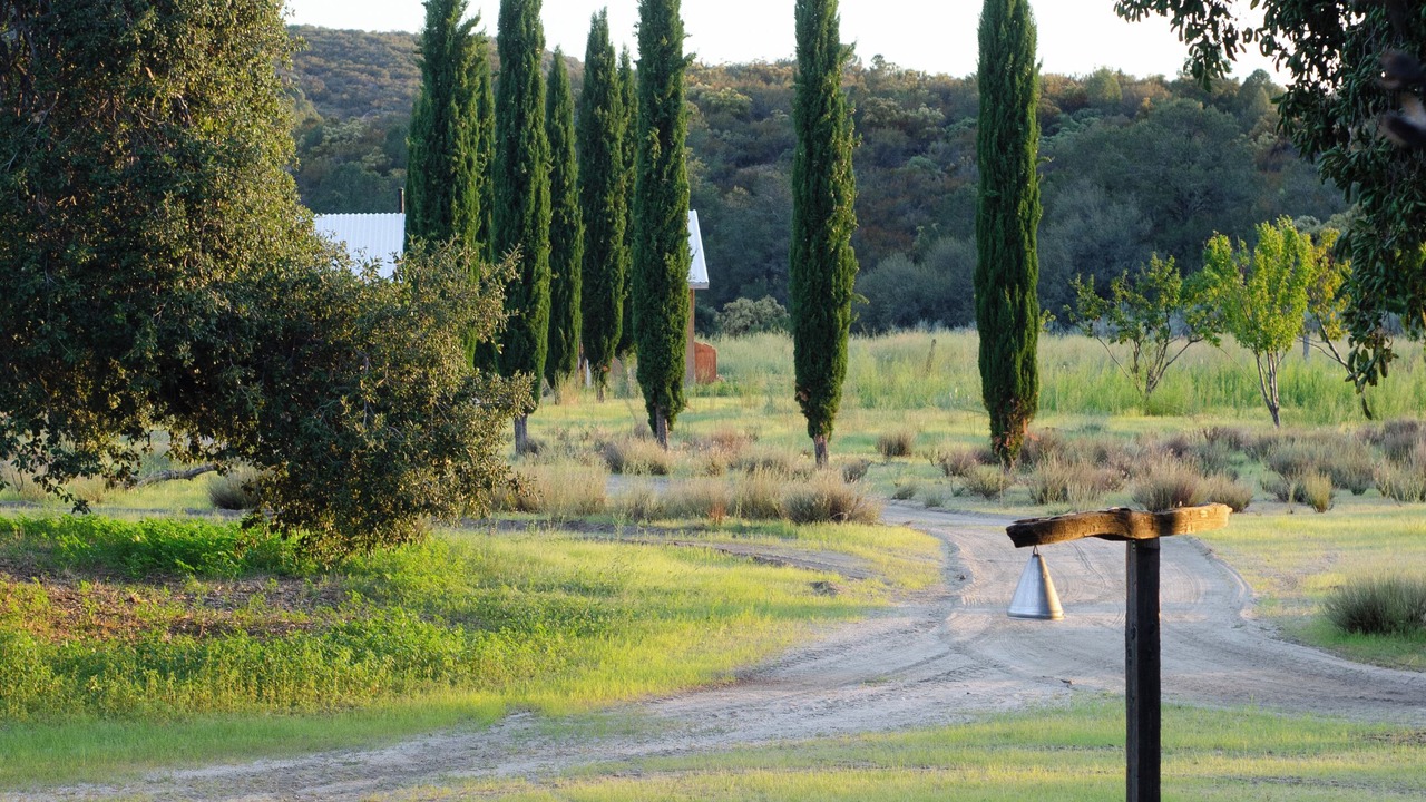 Photo of Outdoor in Nueva Ensenada