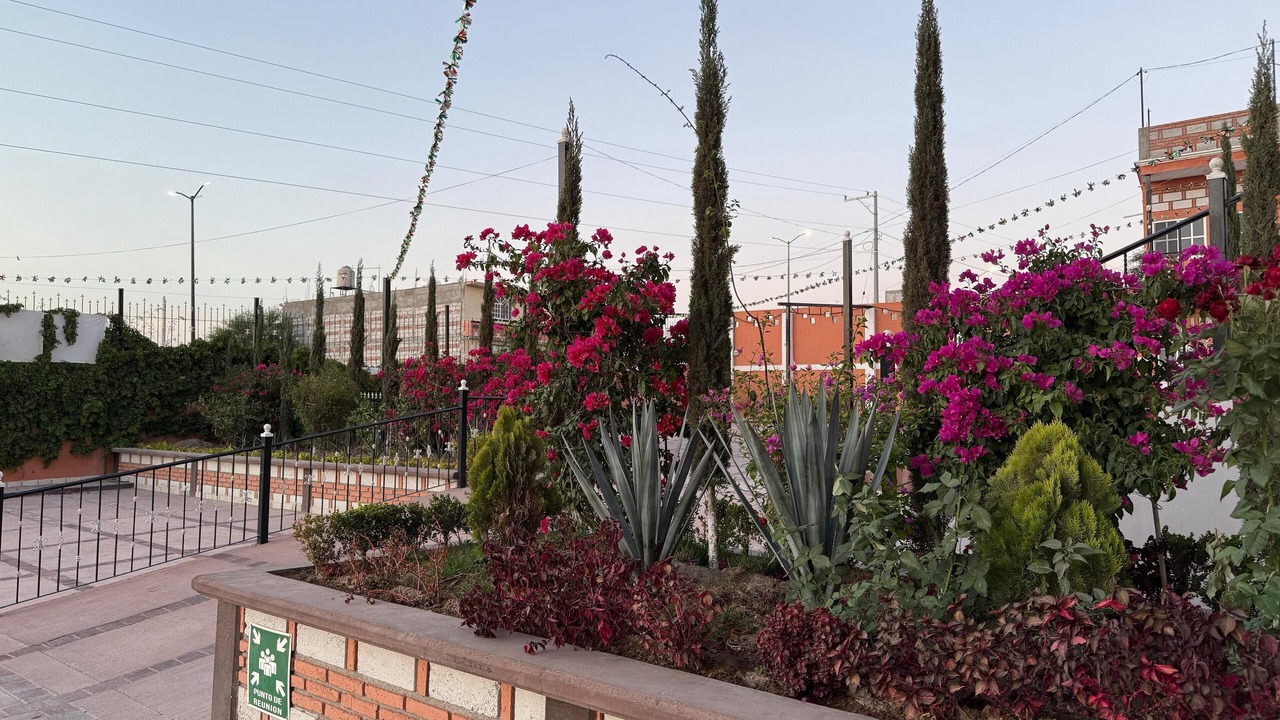 Photo of Outdoor in San Jose Iturbide