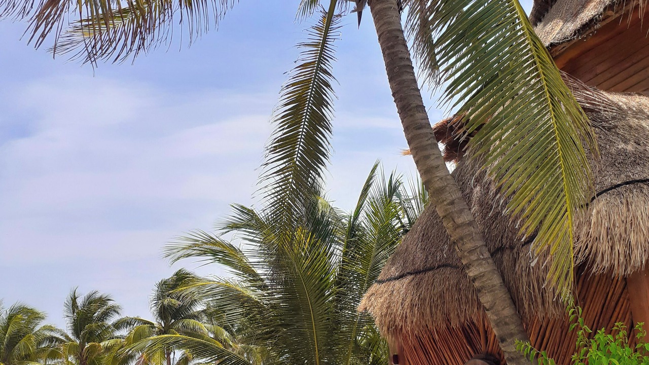 Photo of Others in Mahahual