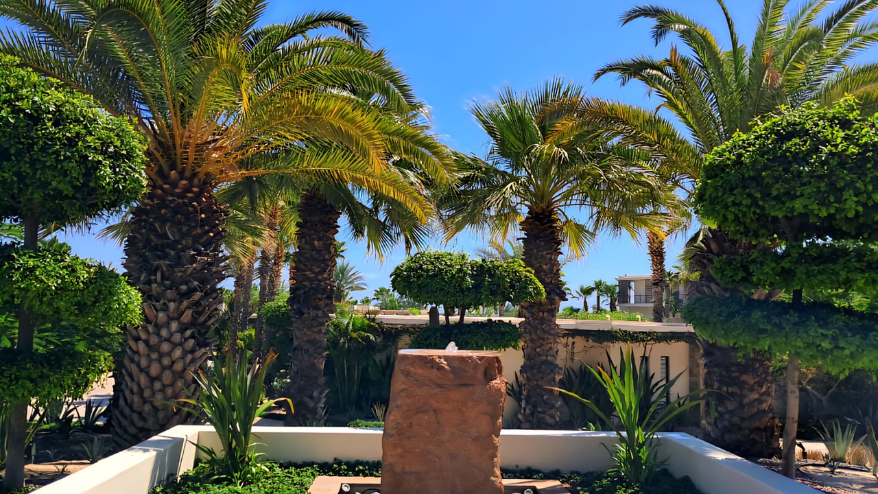 Photo of Outdoor in San Jose del Cabo