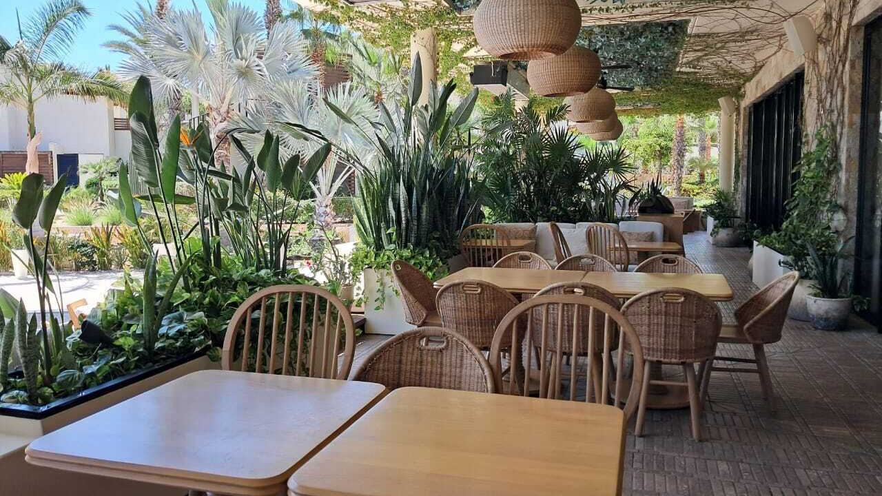 Photo of Others in San Jose del Cabo