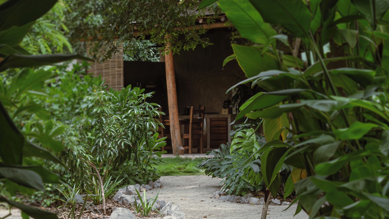 Photo of Outdoor in Saladita