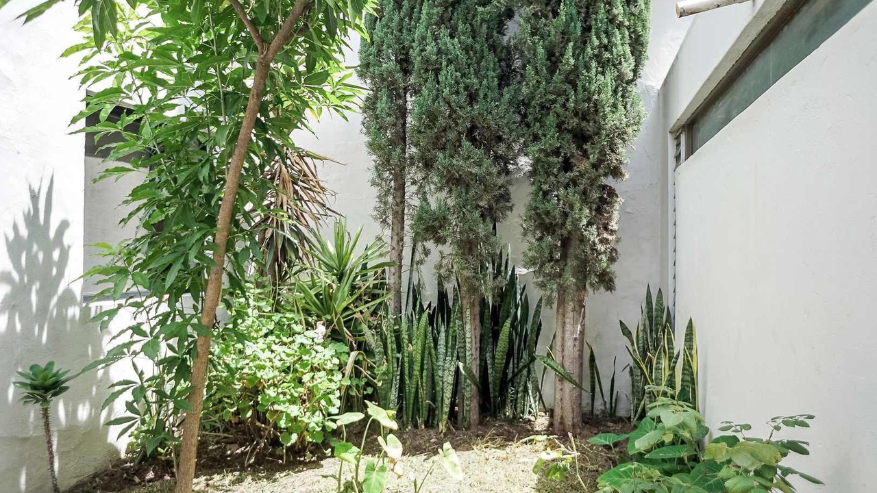 Photo of Outdoor in Centro Historico
