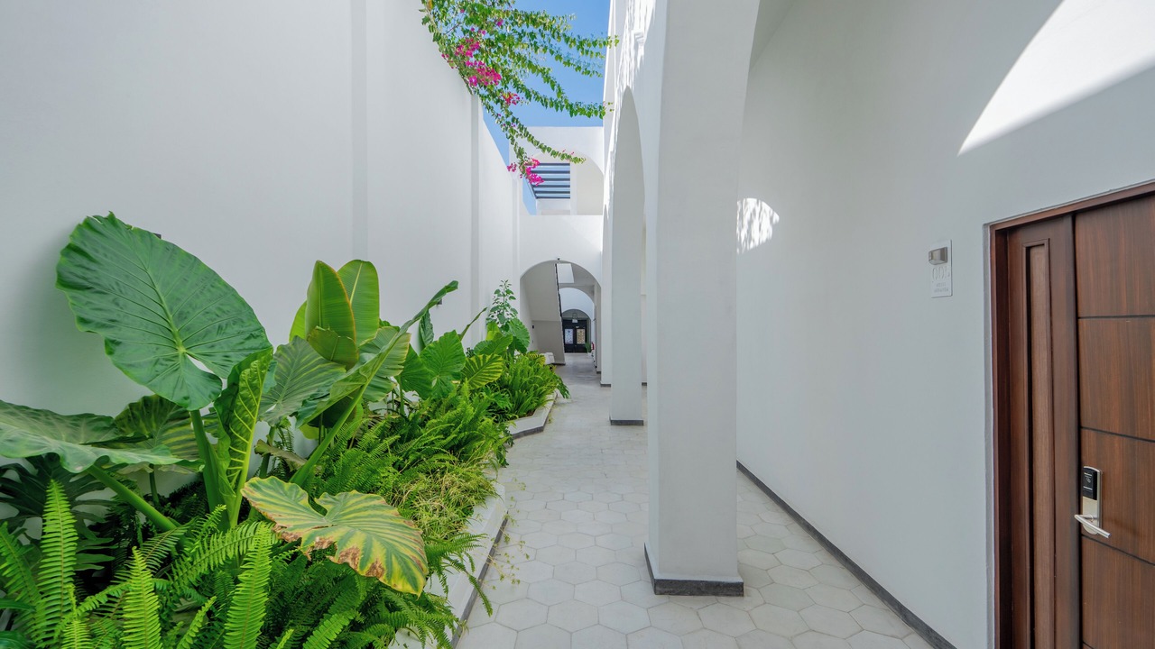 Photo of Patio Balcony in Downtown Queretaro