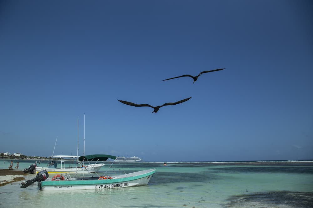 Photo of Others in Mahahual