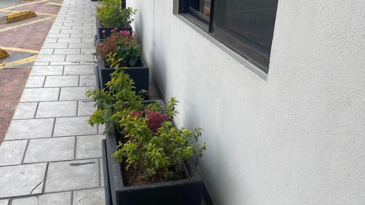 Photo of Outdoor in Tijuana