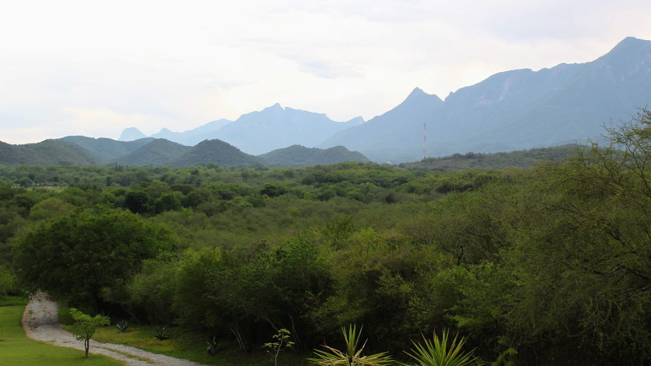 Photo of Others in La Cascara