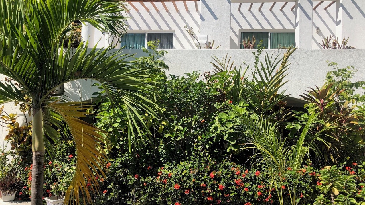 Photo of Patio Balcony in Playa la Madera