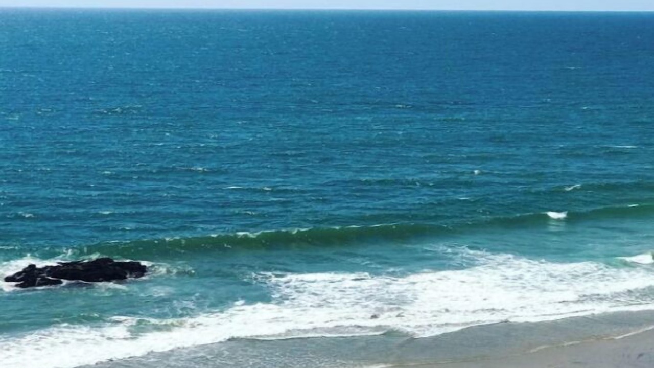 Photo of Others in Playas De Tijuana