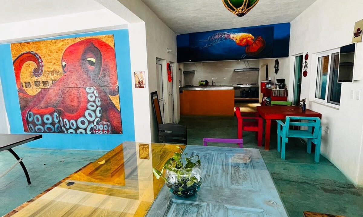 Photo of Livingroom in La Paz