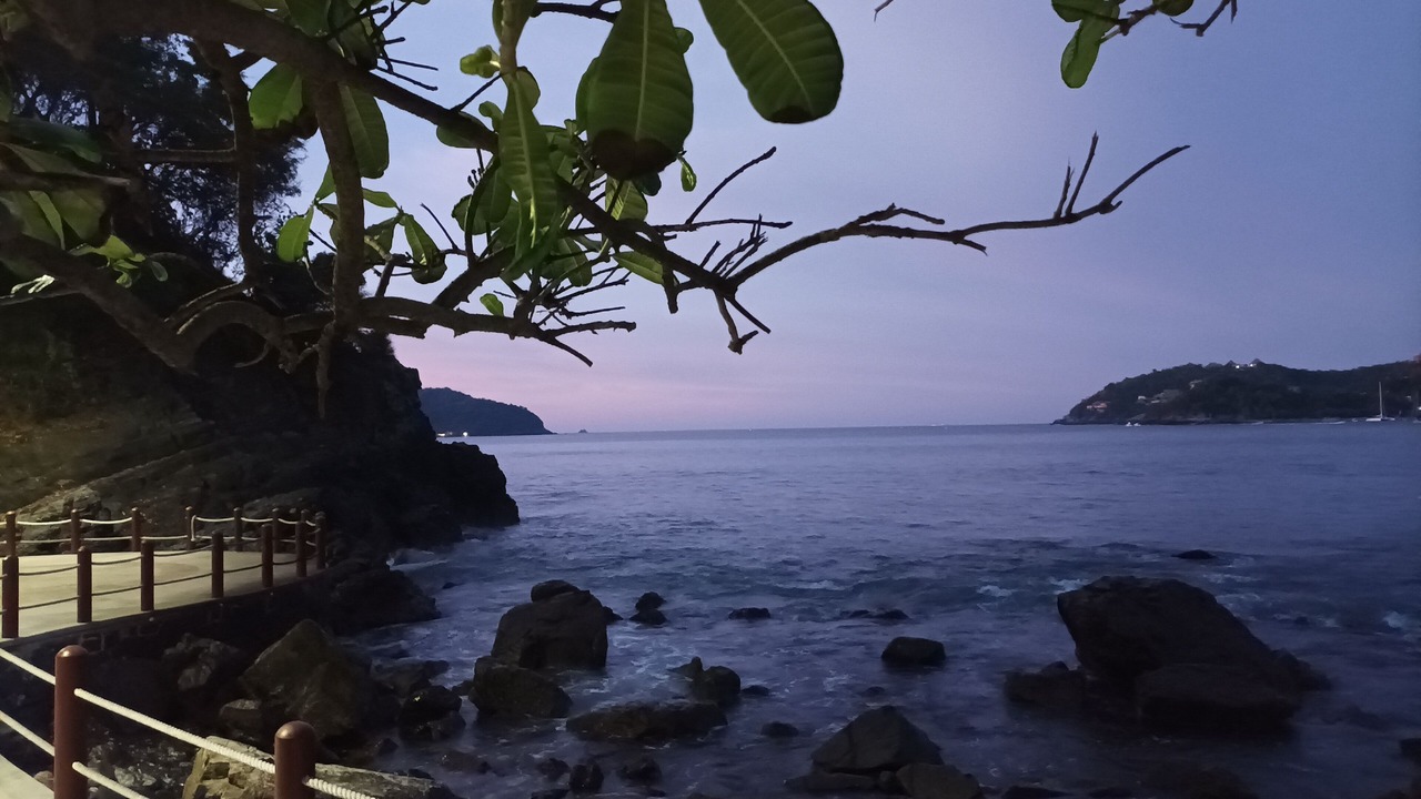 Photo of Others in Playa la Madera