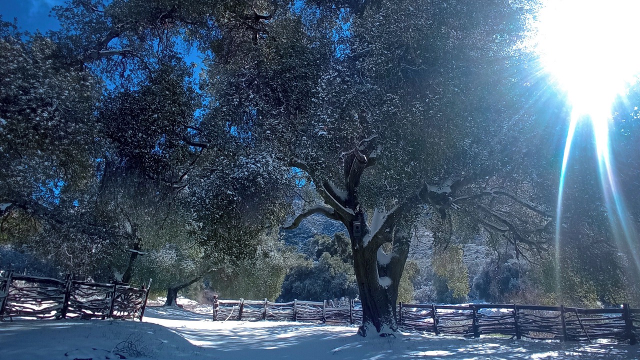 Photo of Others in San Rafael
