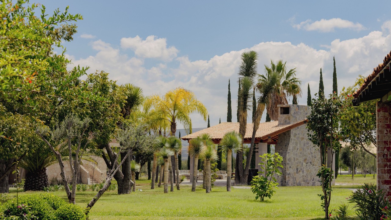 Photo of Outdoor in San Miguel de Allende