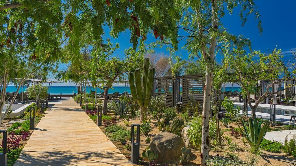 Photo of Outdoor in San Jose del Cabo