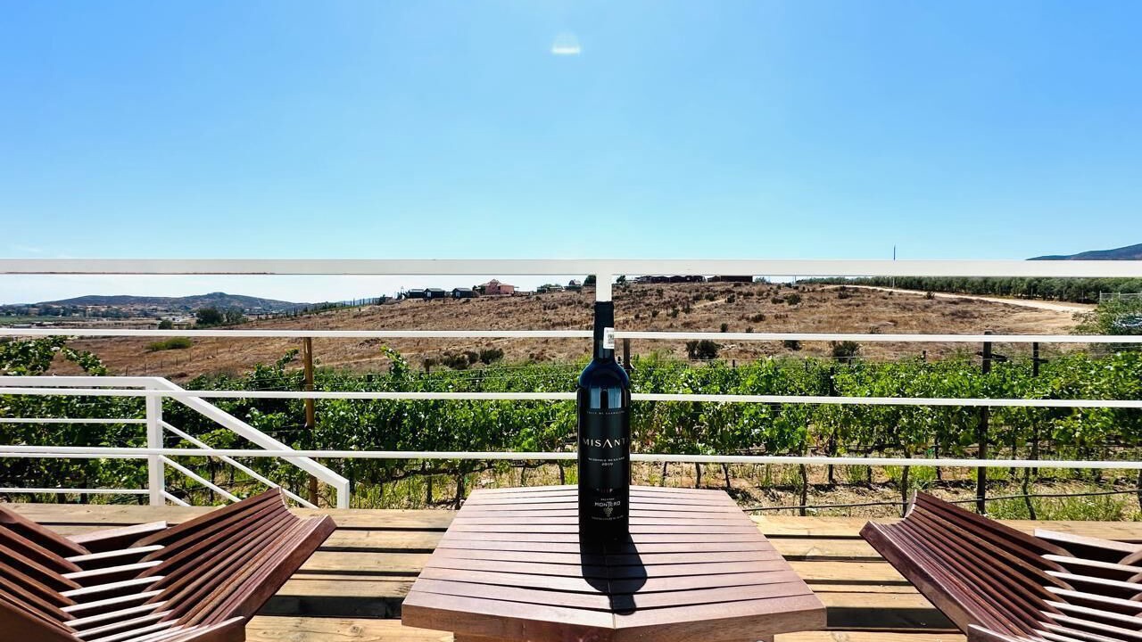 Photo of Others in Valle de Guadalupe