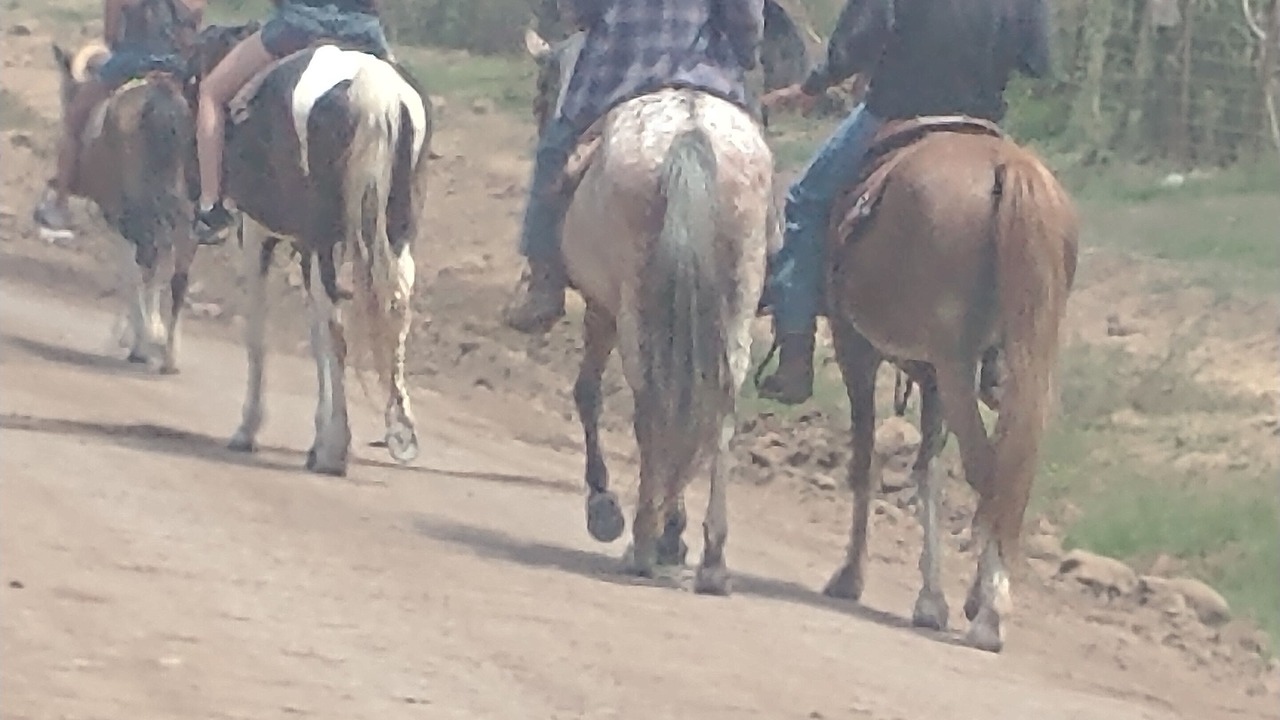 Photo of Others in Ensenada
