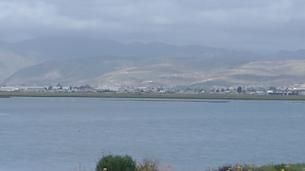 Photo of Others in Ensenada
