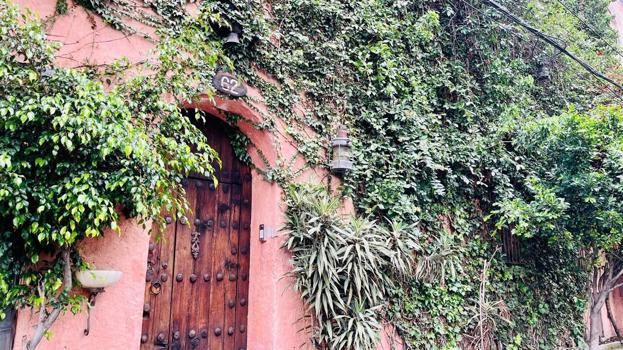 Photo of Outdoor in Guadalajara