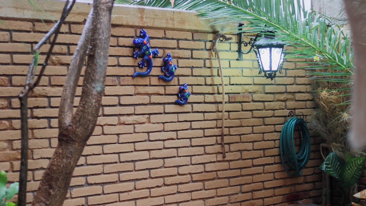 Photo of Outdoor in Calzada Madero