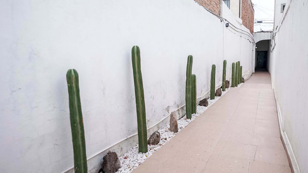 Photo of Outdoor in La Cruz