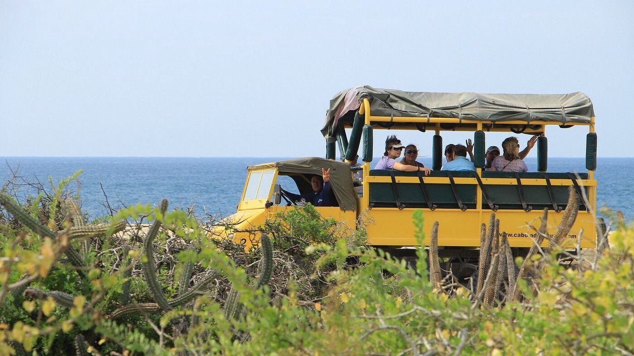 Photo of Outdoor in Cabo San Lucas