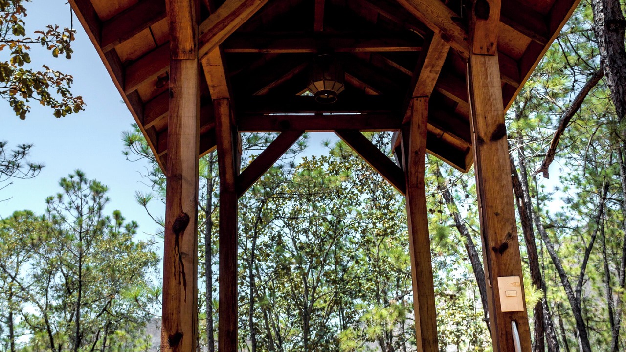 Photo of Outdoor in Mascota
