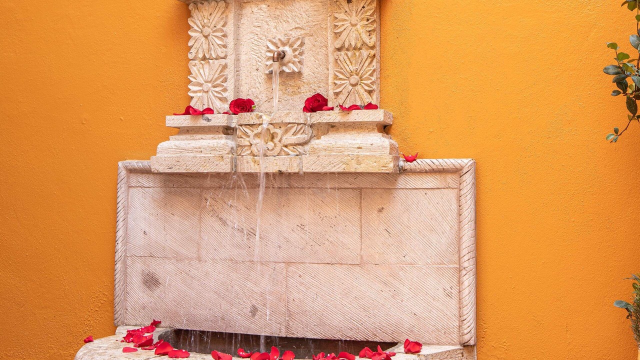 Photo of Outdoor in Zona Centro